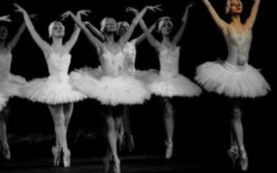 Pandemi süresince online eğitim ve projeler